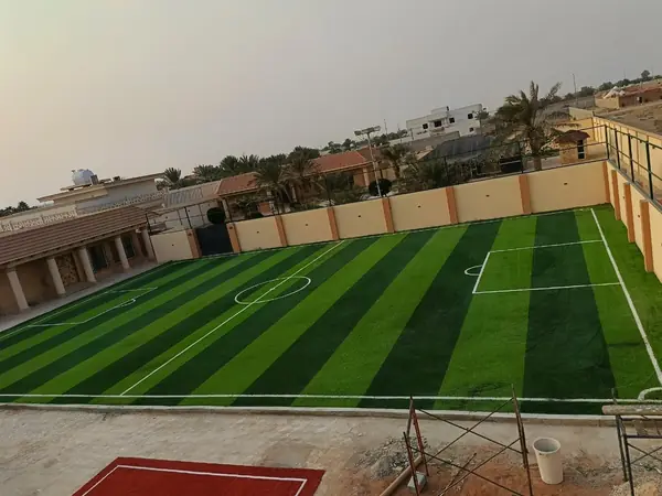 ملعب عشب صناعي مخطط تحيطه أشجار نخيل عند الغروب — تنفيذ غصون الصفوة